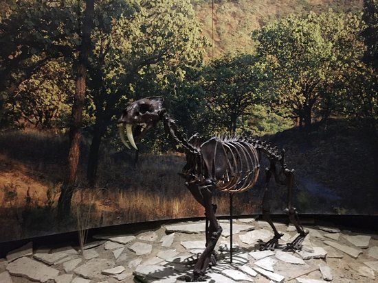 Museo de Paleontología Guadalajara